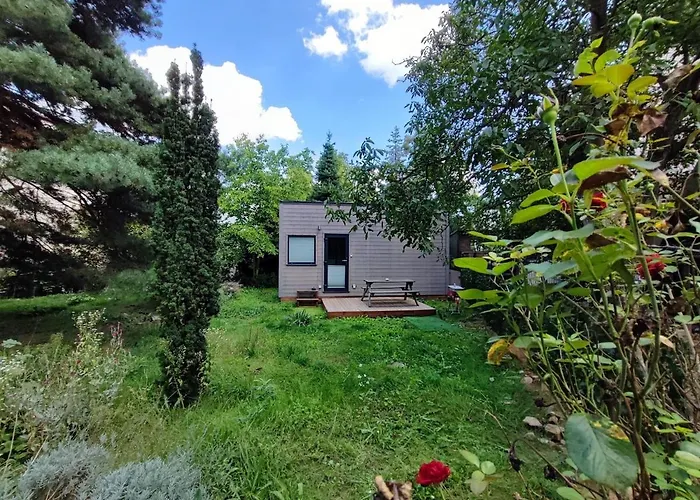 Tinyhouse Under Watertower