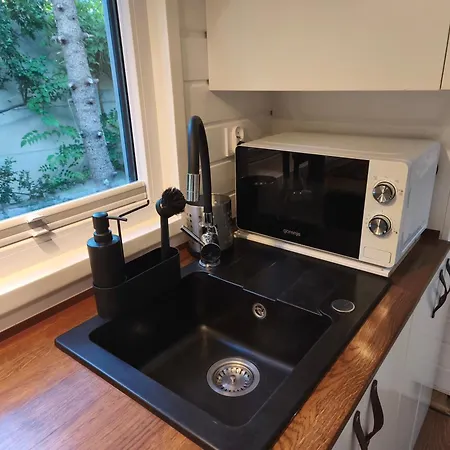 Tinyhouse Under Watertower *